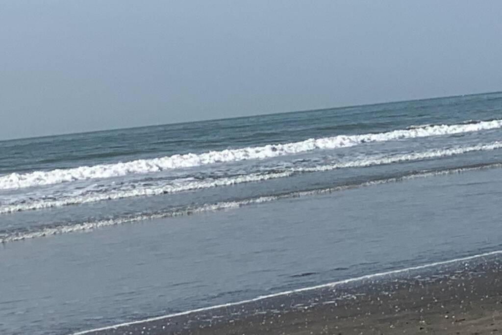 Forest View Luxury Apartment In 3Mins Walk To Beach Pool View Wifi كولولي المظهر الخارجي الصورة